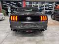 Ford Mustang CONVERTIBILE 5.0 V8 TiVCT GT *SERVICE FORD*UNIPROP Gris - thumbnail 17