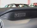 Ford Mustang CONVERTIBILE 5.0 V8 TiVCT GT *SERVICE FORD*UNIPROP Gris - thumbnail 37