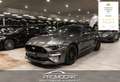 Ford Mustang CONVERTIBILE 5.0 V8 TiVCT GT *SERVICE FORD*UNIPROP Gris - thumbnail 1