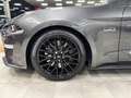 Ford Mustang CONVERTIBILE 5.0 V8 TiVCT GT *SERVICE FORD*UNIPROP Gris - thumbnail 19