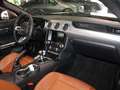 Ford Mustang CONVERTIBILE 5.0 V8 TiVCT GT *SERVICE FORD*UNIPROP Gris - thumbnail 13