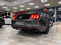 Ford Mustang CONVERTIBILE 5.0 V8 TiVCT GT *SERVICE FORD*UNIPROP Gris - thumbnail 24
