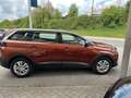 Peugeot 5008 Hybrid 136 e-DSC6 Allure 7-Sitze, Navi Bruin - thumbnail 5