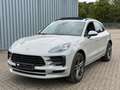 Porsche Macan Aut. Gris - thumbnail 5