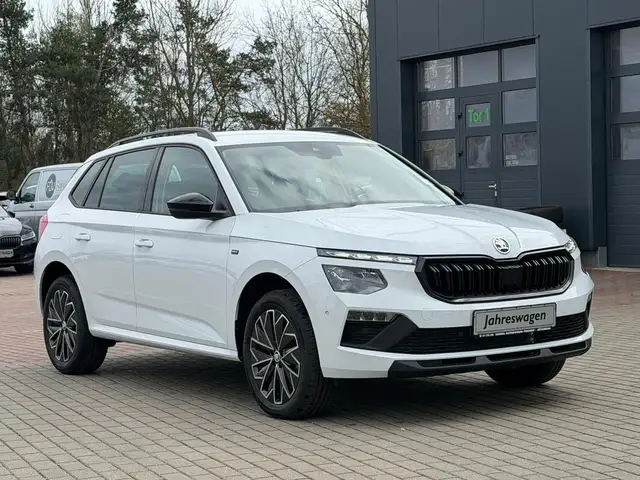 Skoda Kamiq view 10
