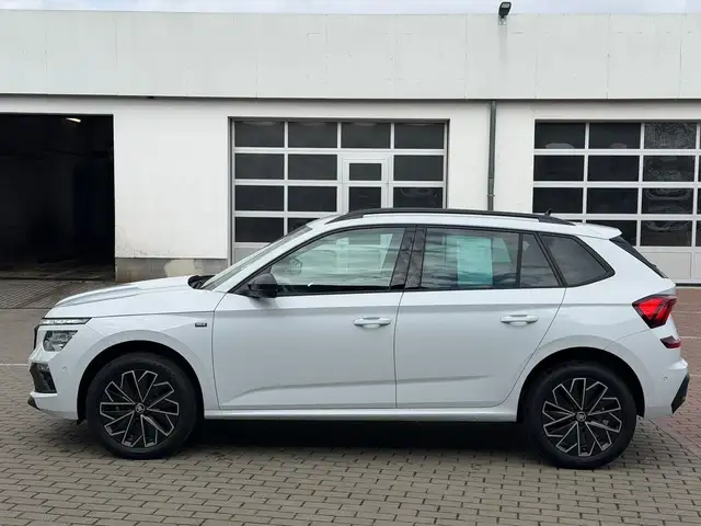Skoda Kamiq view 5
