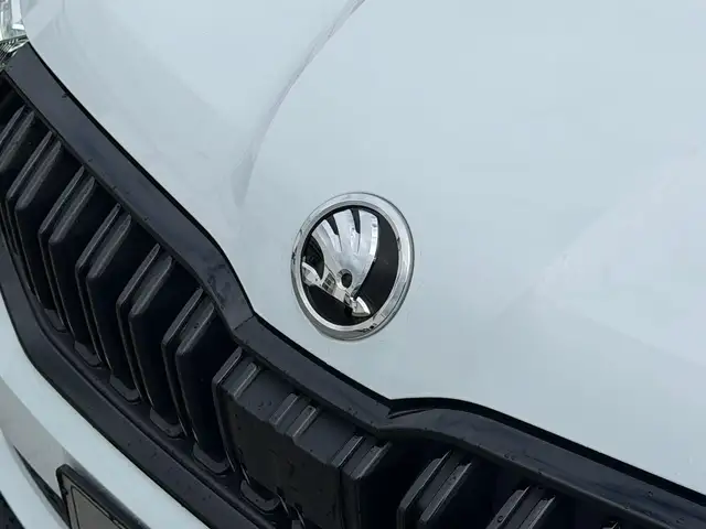 Skoda Kamiq view 6