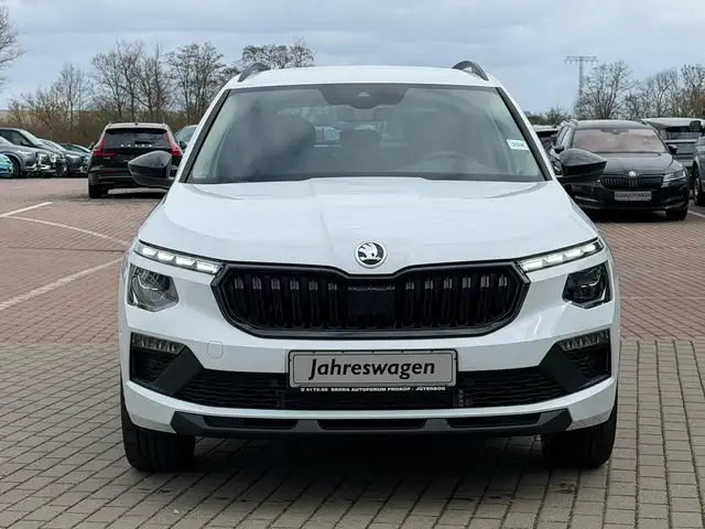 Skoda Kamiq view 11