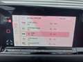 Volkswagen Golf GTI 2.0 TSI Automaat,virtueel dashbord, Wit - thumbnail 23