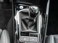 Volkswagen Golf Style 1.5 l TSI OPF 6-Gang LED MASSAGE ACC Blauw - thumbnail 14