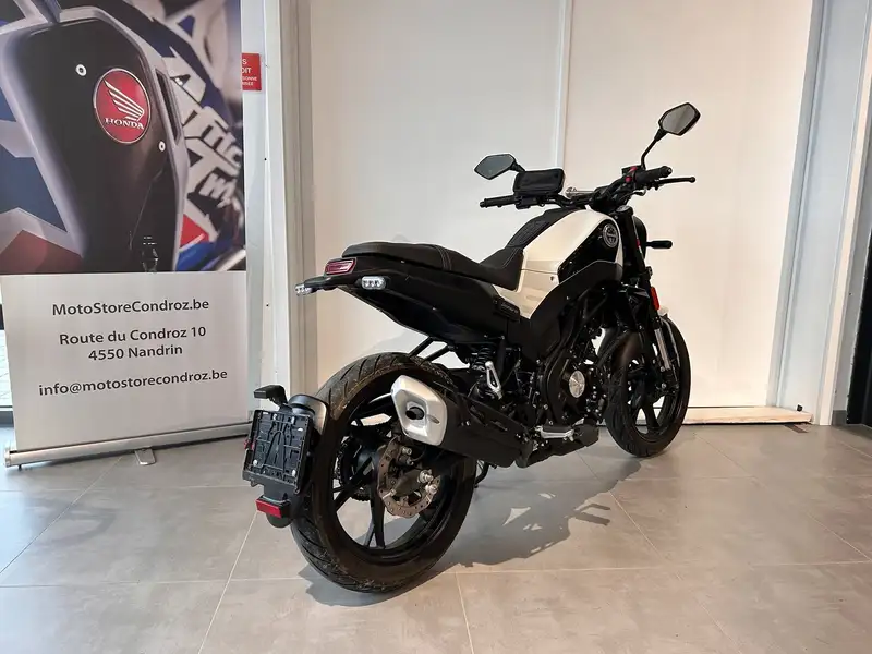 Benelli Leoncino - foto 8