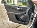Ford Kuga ST-Line X AHK*Pano*4xSHZ*HUD*LED*B&O* Weiß - thumbnail 17