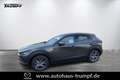 Mazda CX-30 186PS AWD 6AG SELECTION DESIGN-u.PREMIUM-Paket Grijs - thumbnail 1