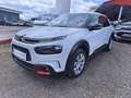 Citroen C4 Cactus PureTech 110 Manuell Feel Weiß - thumbnail 7