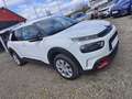 Citroen C4 Cactus PureTech 110 Manuell Feel Weiß - thumbnail 1