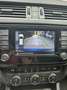 Skoda Octavia (reserviert) Octavia Combi 1,6 TDI Scout 4x4 Scout Blau - thumbnail 11