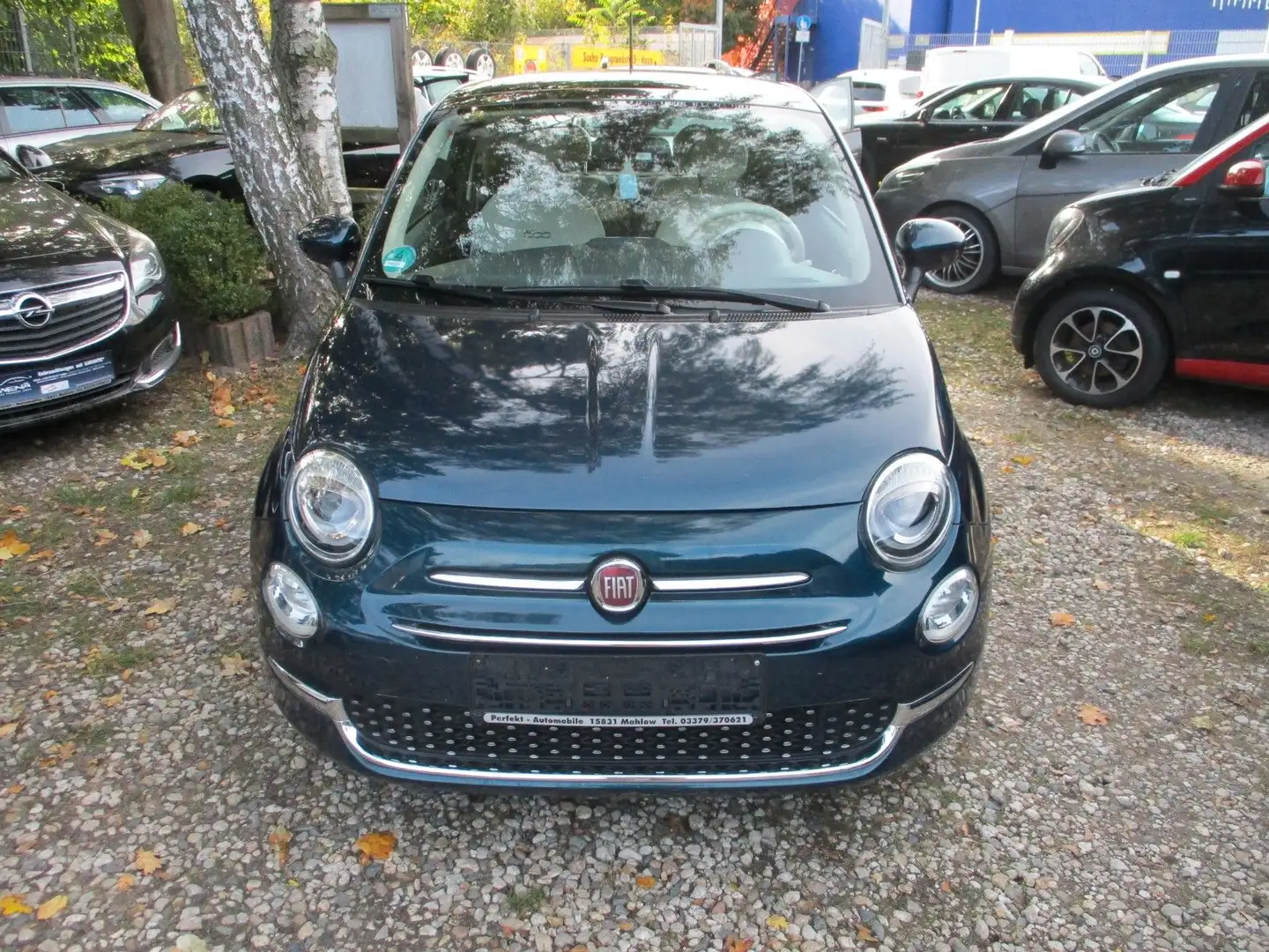 Fiat 500 Blau - 2