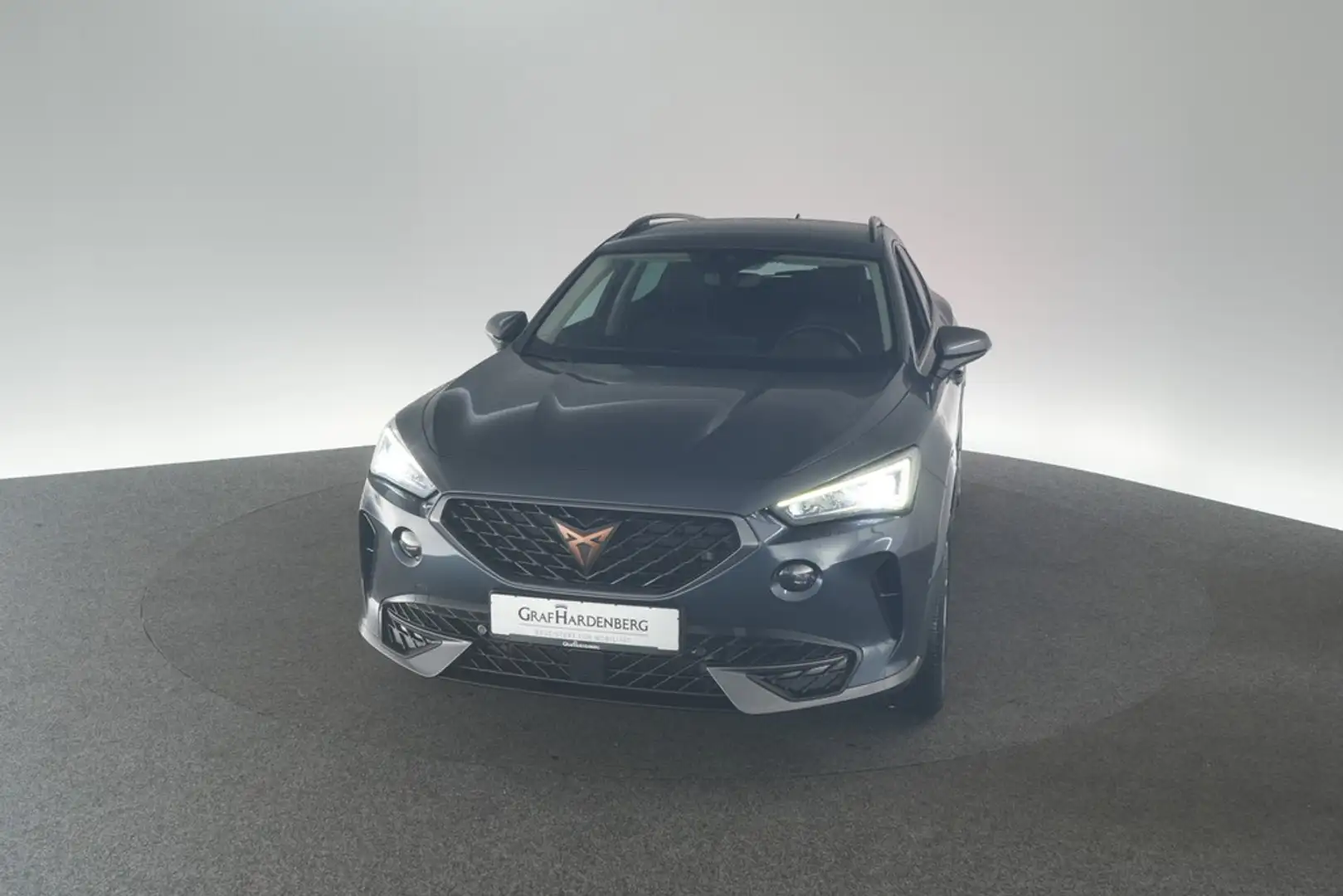 CUPRA Formentor 2.0 TDI 4Drive DSG ACC Navi Grau - 1