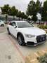 Audi A4 allroad 2.0 tdi Business Evol. 190cv s-tronic my16 - thumbnail 3