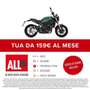 Benelli Leoncino 800 Verde - thumbnail 2
