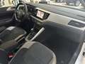 Volkswagen Polo Highline 1.0 TSI DSG R-Line Pano Navi ACC Weiß - thumbnail 19