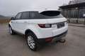 Land Rover Range Rover Evoque SE 2,0 eD4 e-Capability Weiß - thumbnail 16
