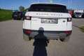 Land Rover Range Rover Evoque SE 2,0 eD4 e-Capability Weiß - thumbnail 24