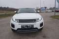 Land Rover Range Rover Evoque SE 2,0 eD4 e-Capability Weiß - thumbnail 11