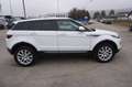 Land Rover Range Rover Evoque SE 2,0 eD4 e-Capability Weiß - thumbnail 13