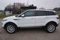 Land Rover Range Rover Evoque SE 2,0 eD4 e-Capability Weiß - thumbnail 17