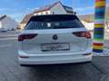 Volkswagen Golf VIII Var. 1.5 TSI DSG Life/PANO Bianco - thumbnail 5