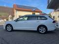 Volkswagen Golf VIII Var. 1.5 TSI DSG Life/PANO Bianco - thumbnail 3
