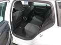 Skoda Octavia Octavia Combi 2,0 TDI Style DSG *150PS*MEGA KONFIG*HEAD UP*MATRIX*VIRTUAL*AHK* *STANDHZG*18" PERSEUS*ACC/ASSISTENZ*KAMERA Weiß - thumbnail 9