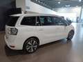 Citroen Grand C4 SpaceTourer C4 Grand Spacetourer 1.6 bluehdi Business s Bianco - thumbnail 3