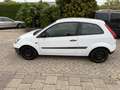 Ford Fiesta 1.4 TDCi Ambiente Wit - thumbnail 2
