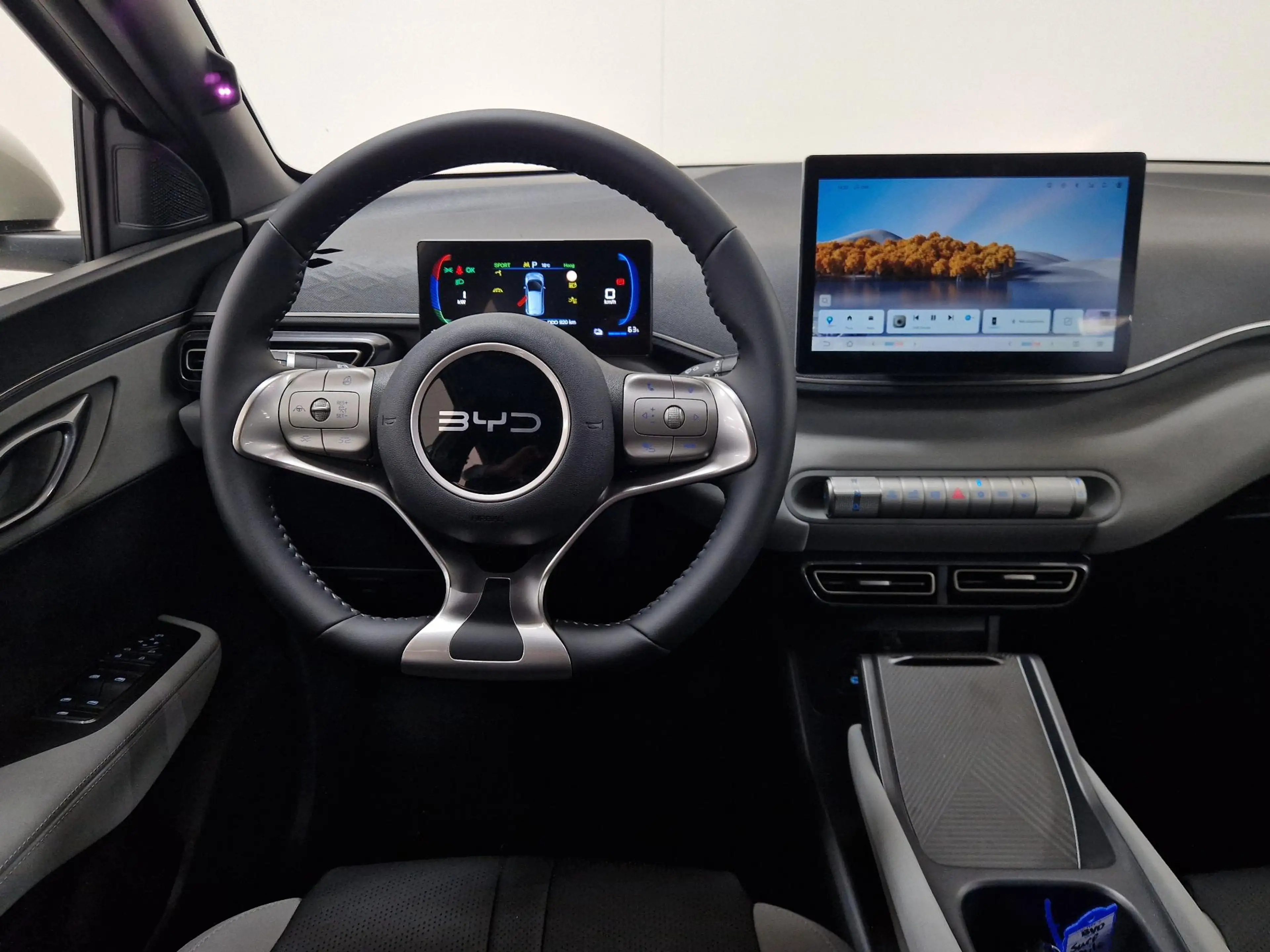 BYD Dolphin Surf Boost 43 kWh APPLE CARPLAY l ANDROID AUTO — photo 11