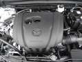 Mazda CX-30 5WGN 2.0L e-SKYACTIV G 122ps 6MT FWD Homura Blanc - thumbnail 15