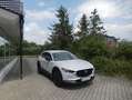 Mazda CX-30 5WGN 2.0L e-SKYACTIV G 122ps 6MT FWD Homura Blanc - thumbnail 4