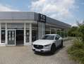 Mazda CX-30 5WGN 2.0L e-SKYACTIV G 122ps 6MT FWD Homura Blanc - thumbnail 2