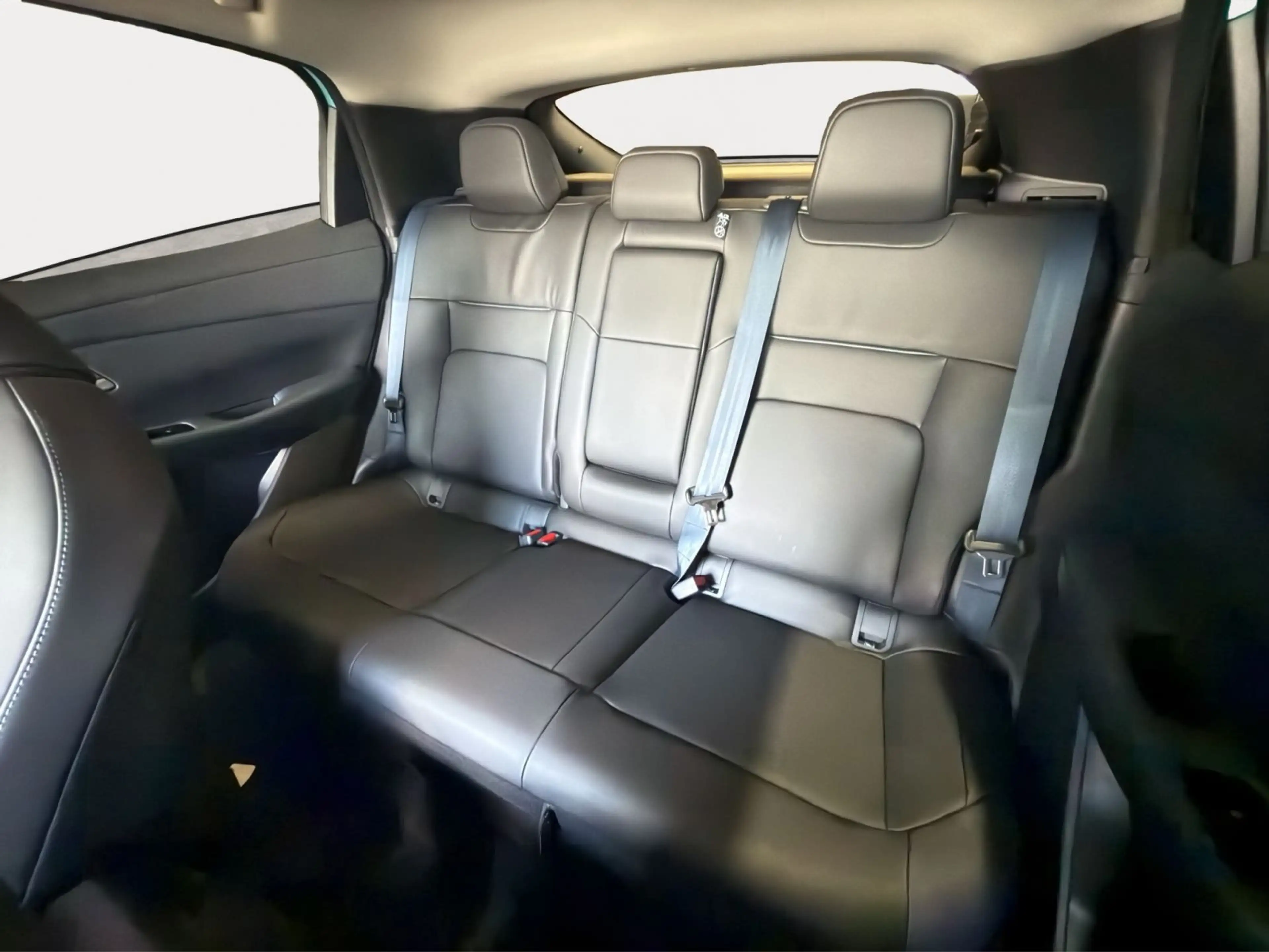 Nissan Leaf 160 kW Evolve°2FRBG°PANO°360°KAM°NAVI°217PS — photo 13