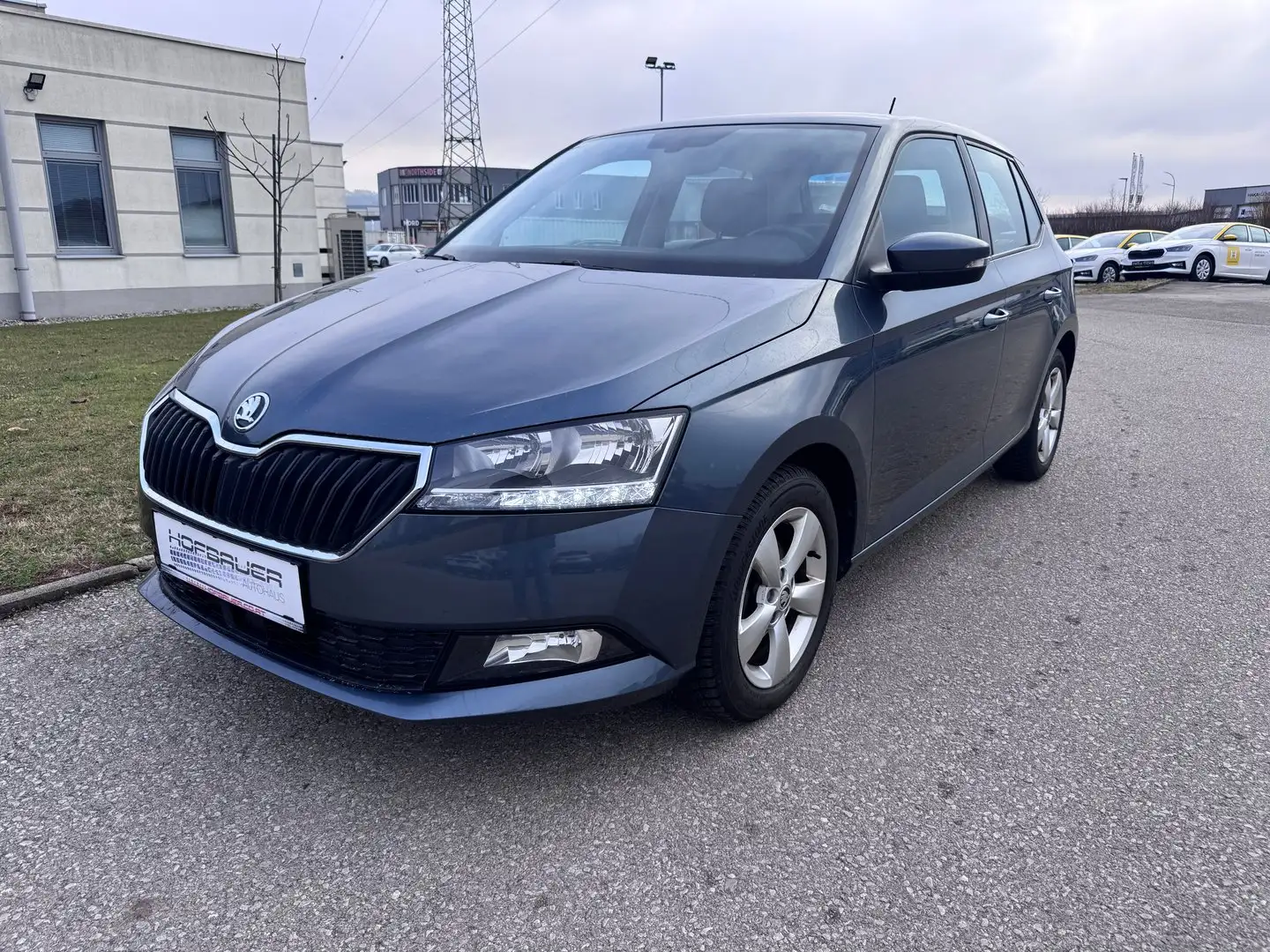 Skoda Fabia Ambition TSI Grau - 1
