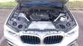 BMW X3 (G01) xDrive 20d 190 BVA8 Business Design - Automa - thumbnail 15