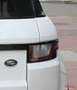 Land Rover Range Rover Evoque (2) SD4 240 HSE BVA Blanc - thumbnail 18