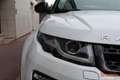 Land Rover Range Rover Evoque (2) SD4 240 HSE BVA Blanc - thumbnail 17