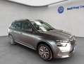 Skoda Kamiq 1.0 TSI DSG Tour Grau - thumbnail 8