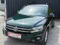 Volkswagen Tiguan 2.0 TDI 4Motion Verde - thumbnail 5