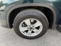 Volkswagen Tiguan 2.0 TDI 4Motion Groen - thumbnail 21