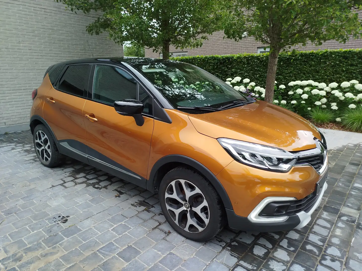 Renault Captur ENERGY TCe 90 Start&Stop Intens - 1