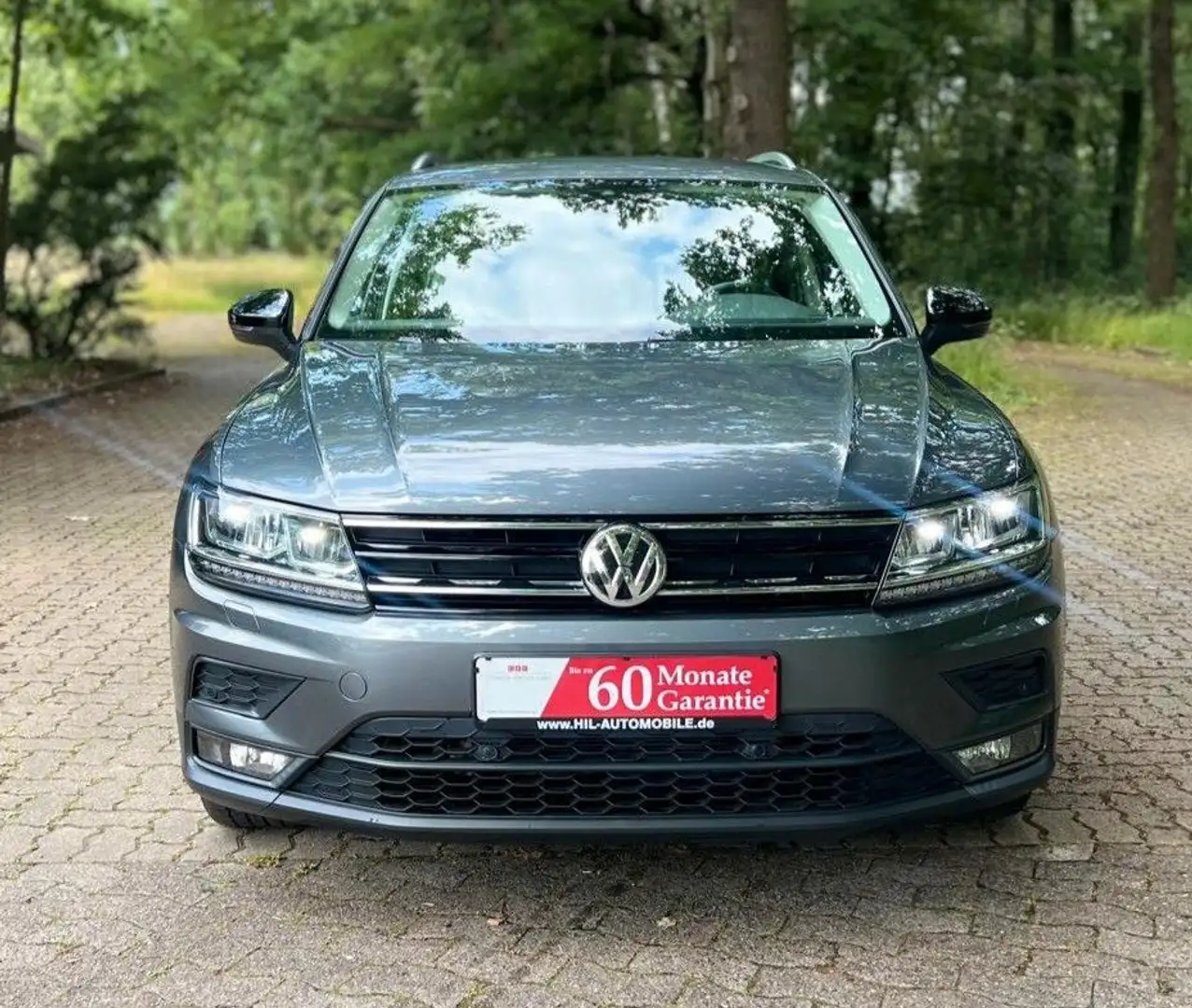 Volkswagen Tiguan IQ.DRIVE Start-Stopp Gris - 2