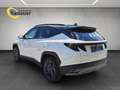 Hyundai TUCSON Tucson 1,6 T-GDI HEV 4WD 20th Anniversary Aut. Weiß - thumbnail 4
